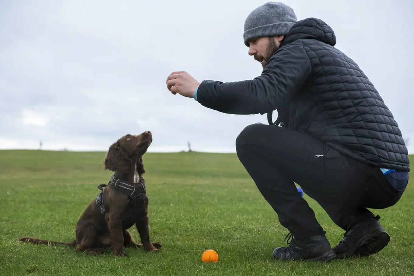 szkolenie małego psa